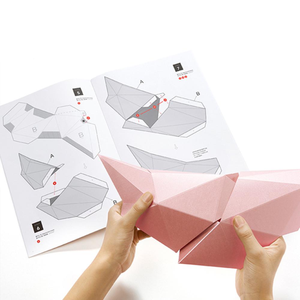 Bird - Paper interior