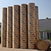 Efree form, Efree plus