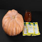 ZaramFood 100% Pumpkin Juice