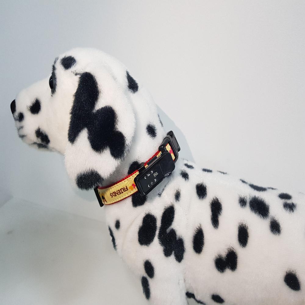 Doggo Healthcare service Bingo