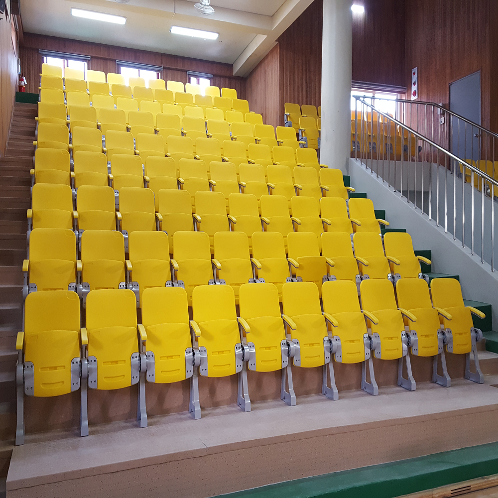 Slow Folding Chair(SY-6000)