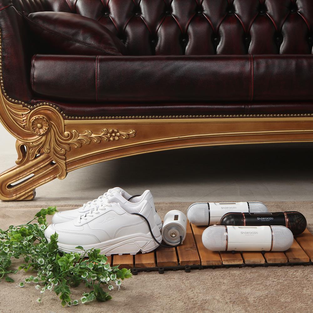 SmartreumbangE Shoe Blast lasts for 1 hour  (Size : 220 x 58 x 58mm Weight : 400g)  BLACK