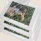full image ANYSHEET Laminating Film A4 (100ct) for documents, Photos, Books, Clear Coating Matte