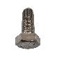 detail image4 25Qty 1/2*1 1/4" UNC13    HEX TAP BOLT SCREW