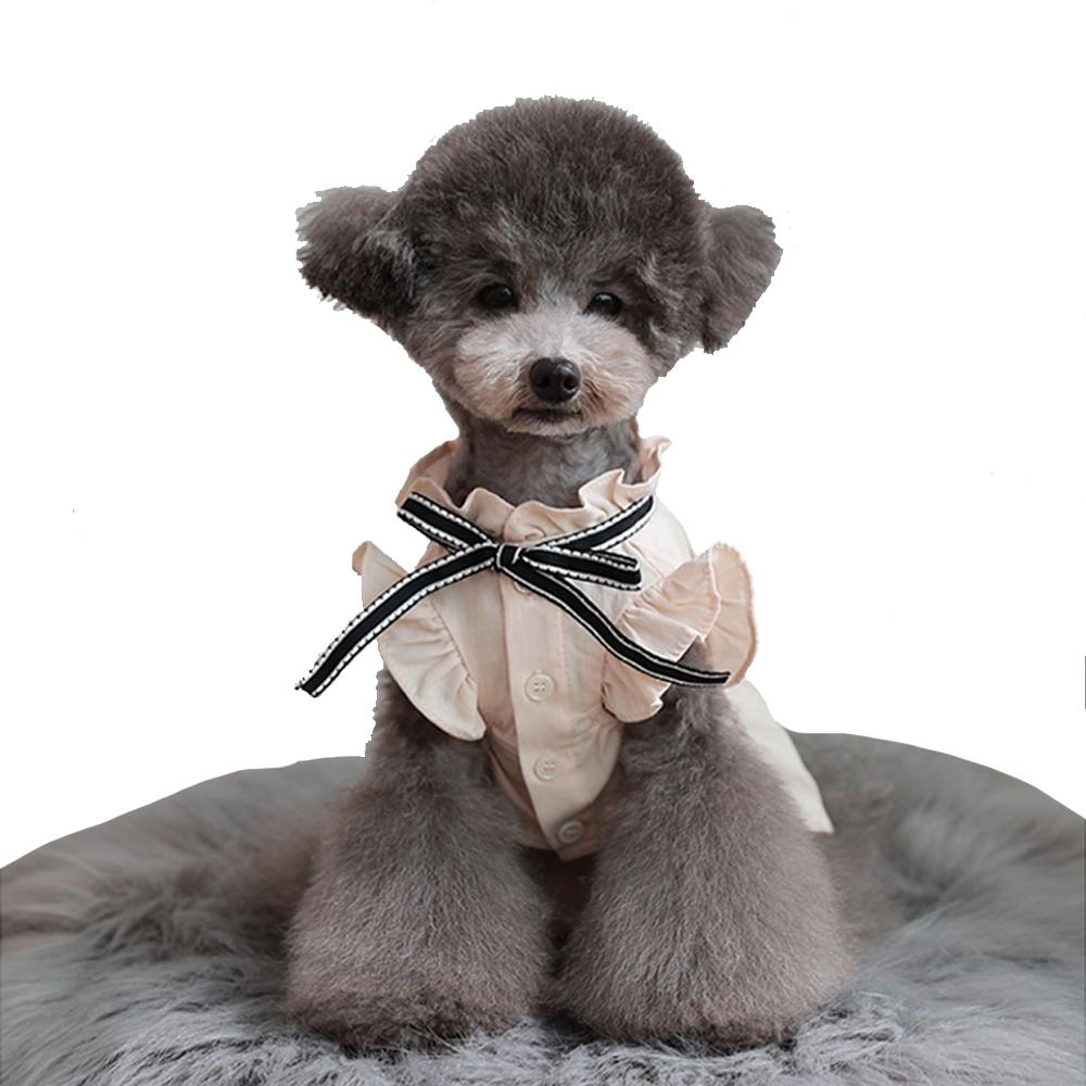 Tint Frill blouses (Apricot / XL size)