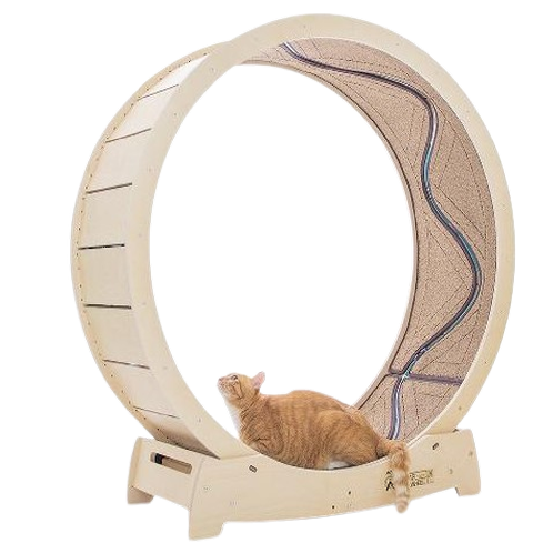 CAM Corp. CAM1200 | catwheel, star catwheel, toy, catwheel, star catwheel, toy