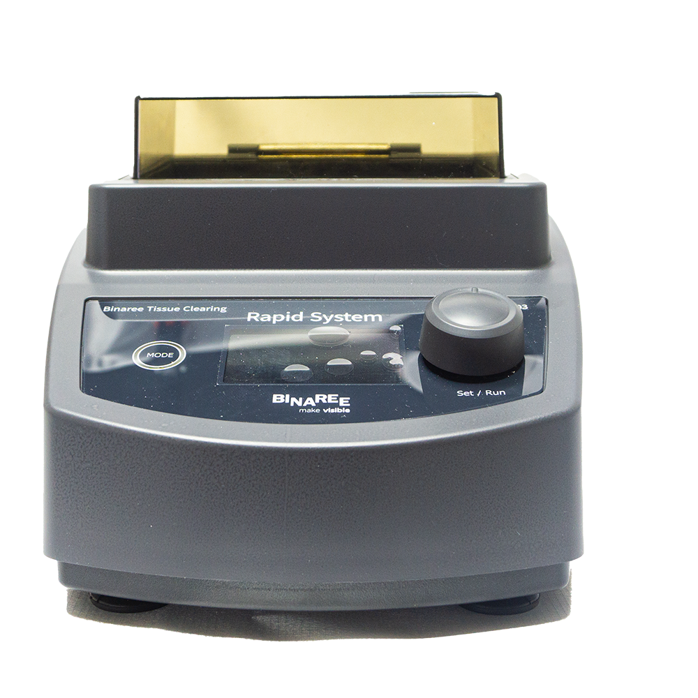 Binaree Tissue Clearing Rapid System