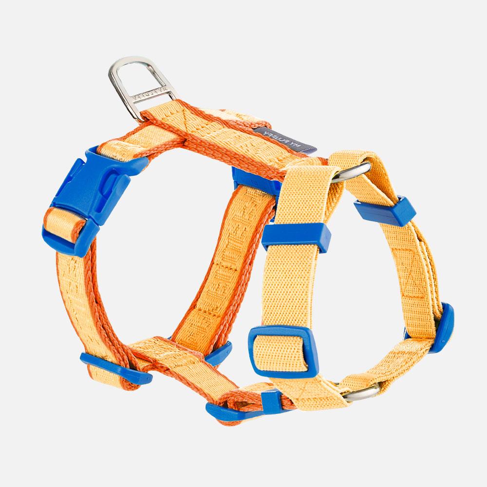 Fit Band Harness