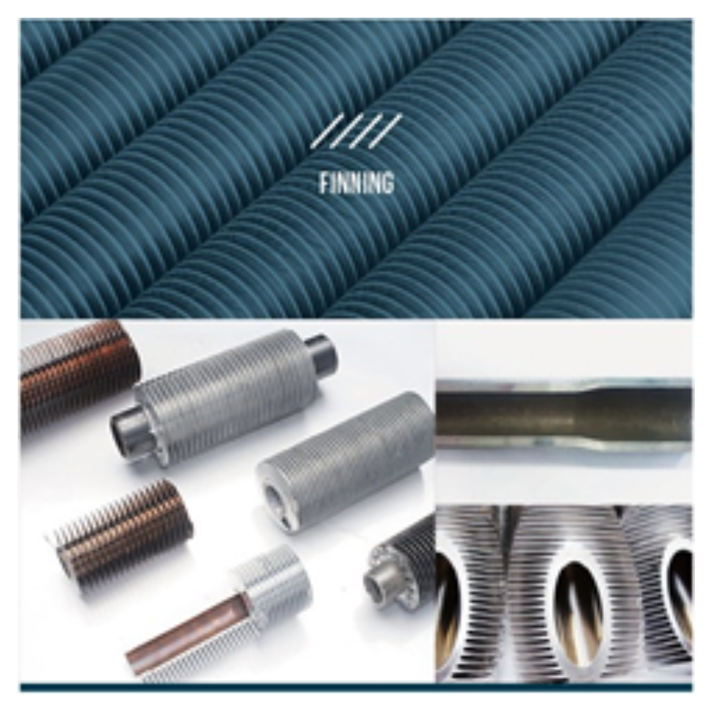 S31803,S32205,S32750S31254