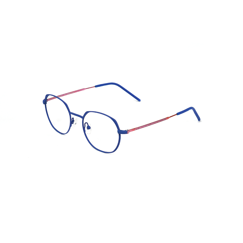 N1013 Trendy Fashion Eyewear